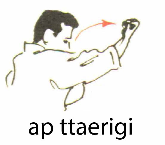 ap_ttaerigi