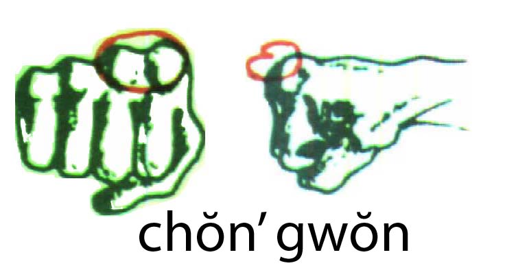 chon_gwon