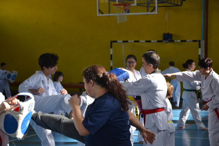 DSC_0118-1-768x512