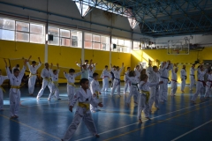 DSC_0012-1-1200x600