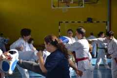 DSC_0118-1-768x512
