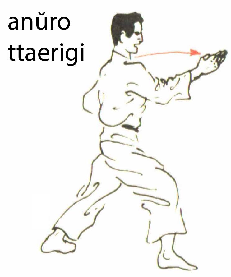 anuro_ttaerigi