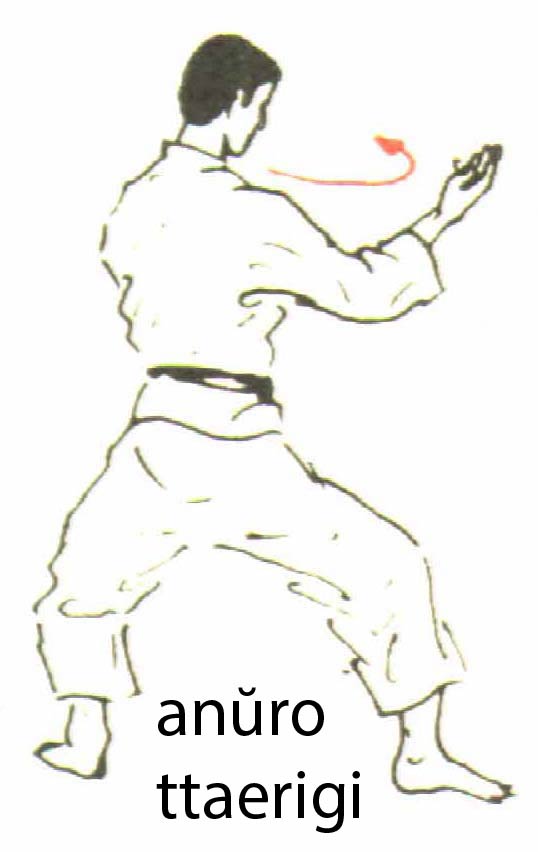 anuro_ttaerigi1