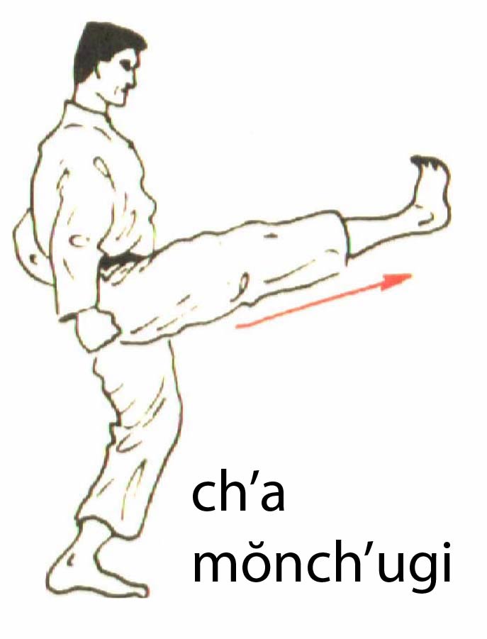 cha_momchugi