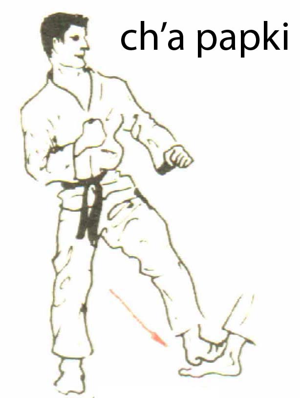 cha_papki