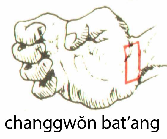 changgwombat_ang