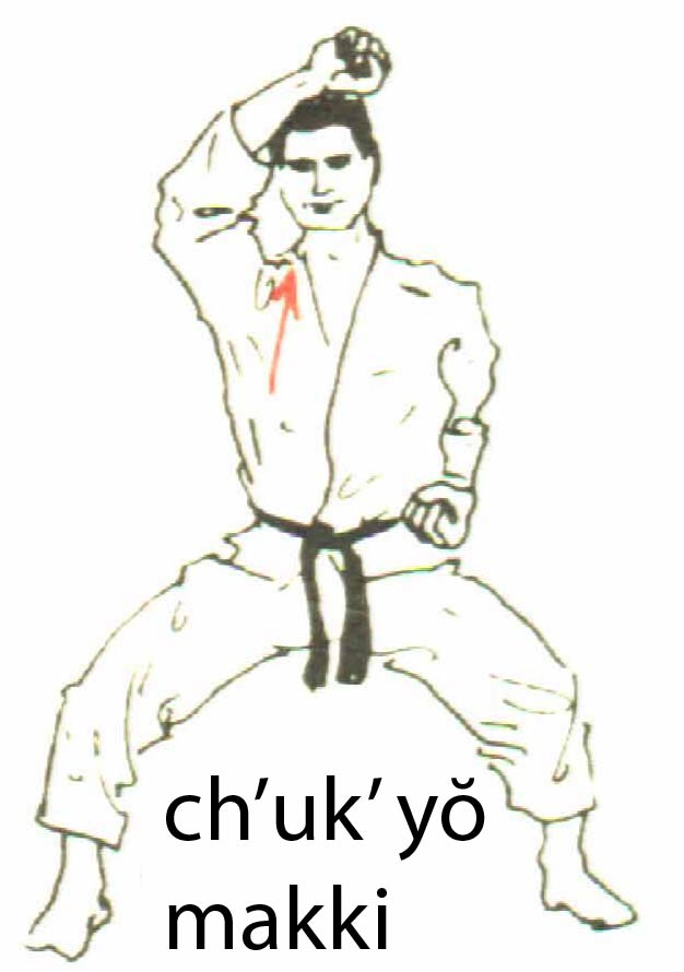 chukyo_makki