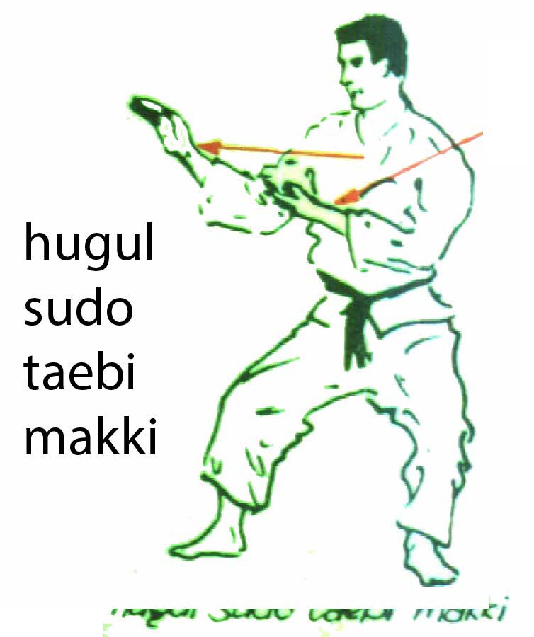 hugul_sudo_taebi_makki