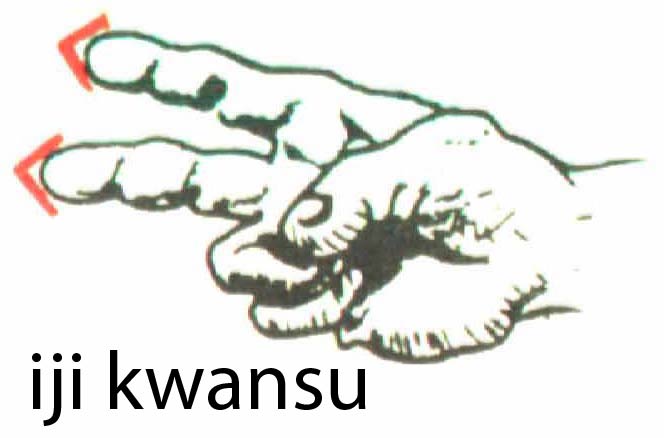 iji_kwansu
