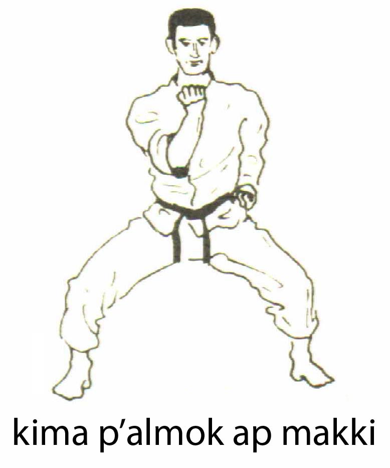 kima_palmok_ap_makki