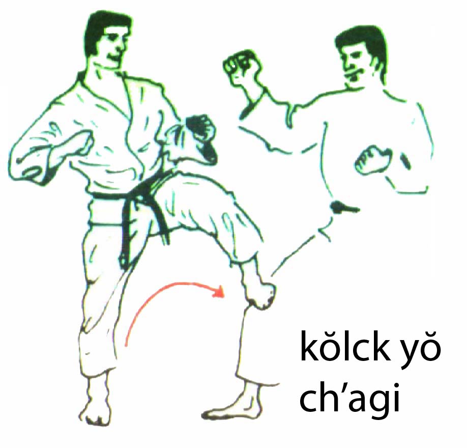 kolch_yo_chagi