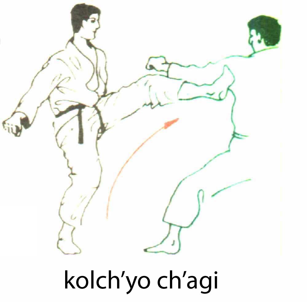 kolchyo_chagi