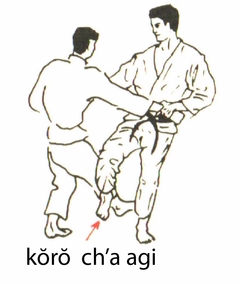koro_cha_agi