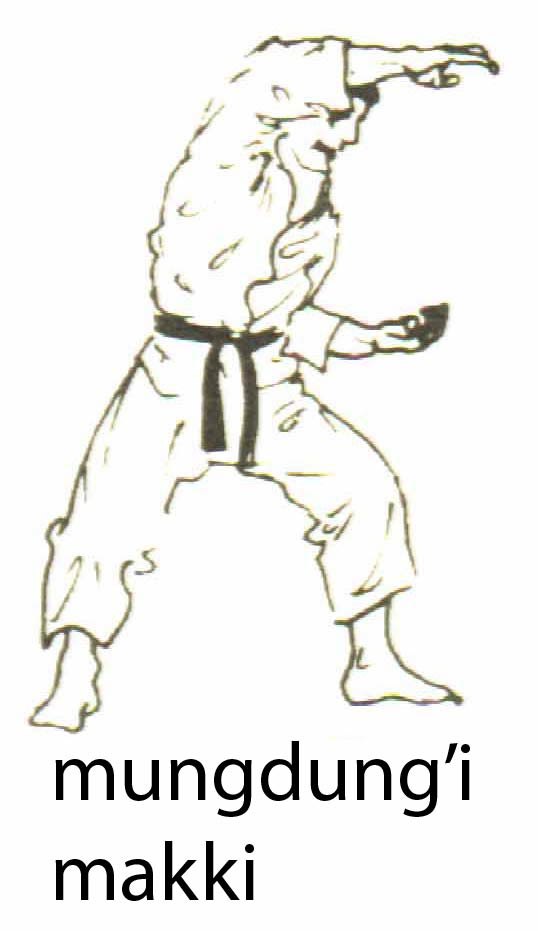 mungdungi_makki