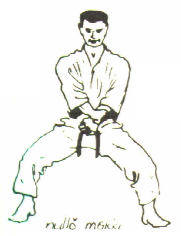 nullo_makki