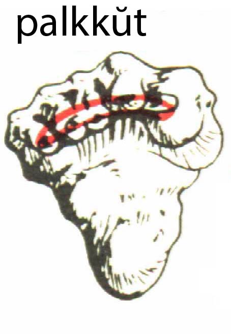 palkkut