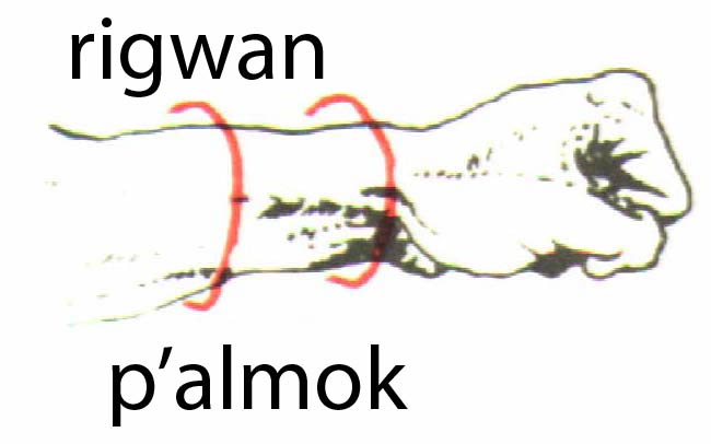 palmok
