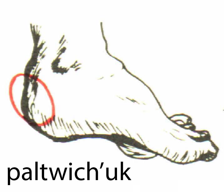 paltwich_uk