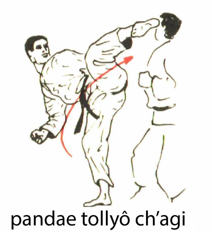 pandae_tollyo_chagi