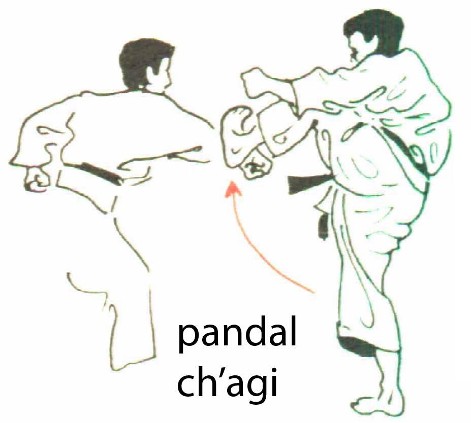 pandal_chagi