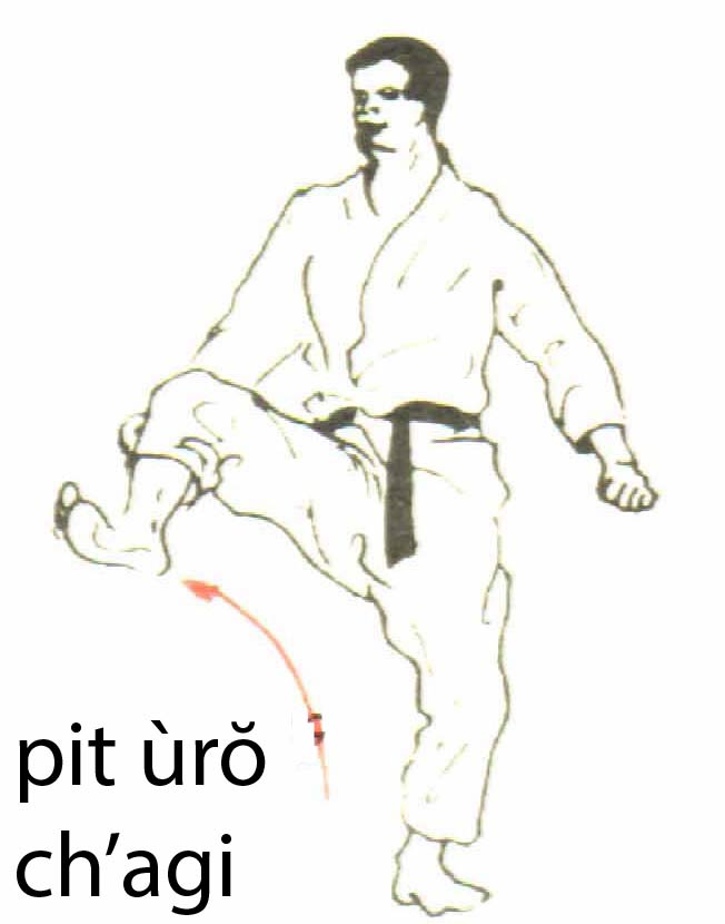 pit_uro_chagi