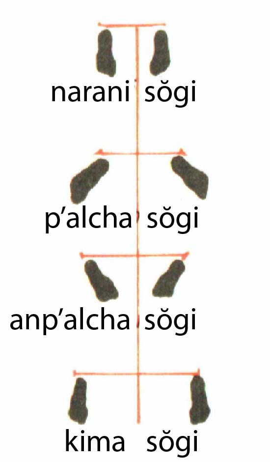 sogi