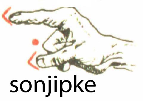 sonjipke