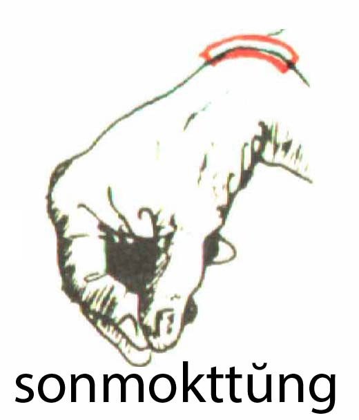 sonmokttung