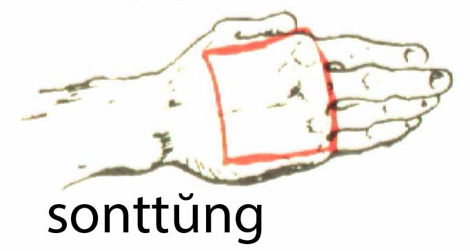 sonttung