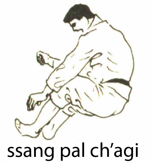 ssang_pal_chagi