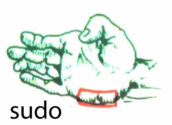 sudo