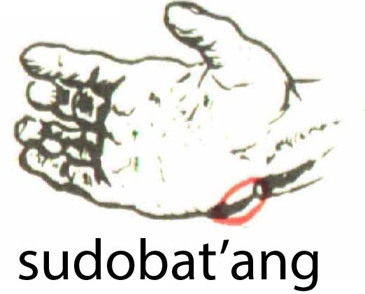 sudobat_ang