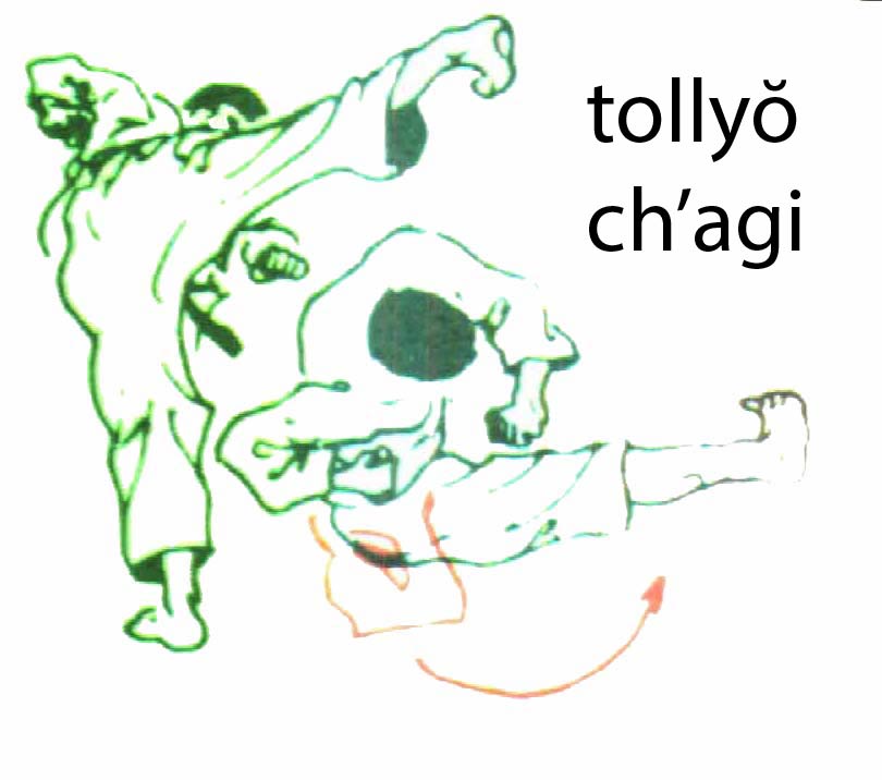 tollyo_chagi