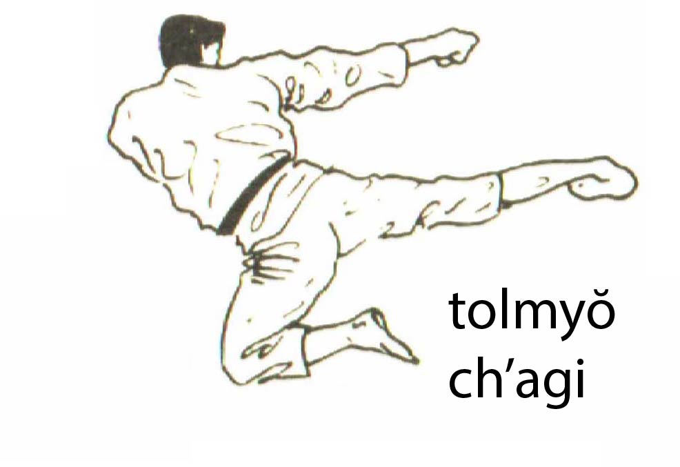 tolmyo_chagi