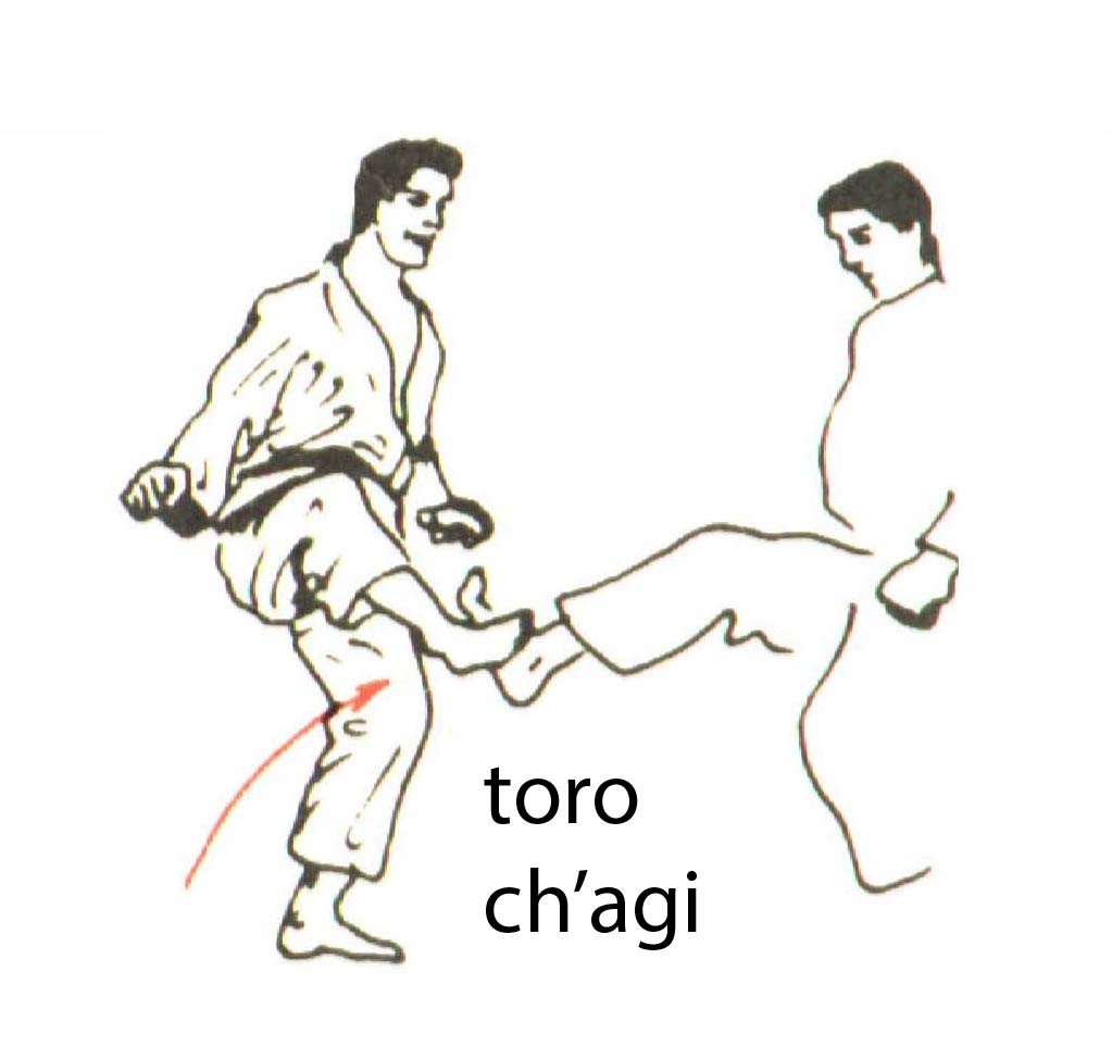 toro_chagi