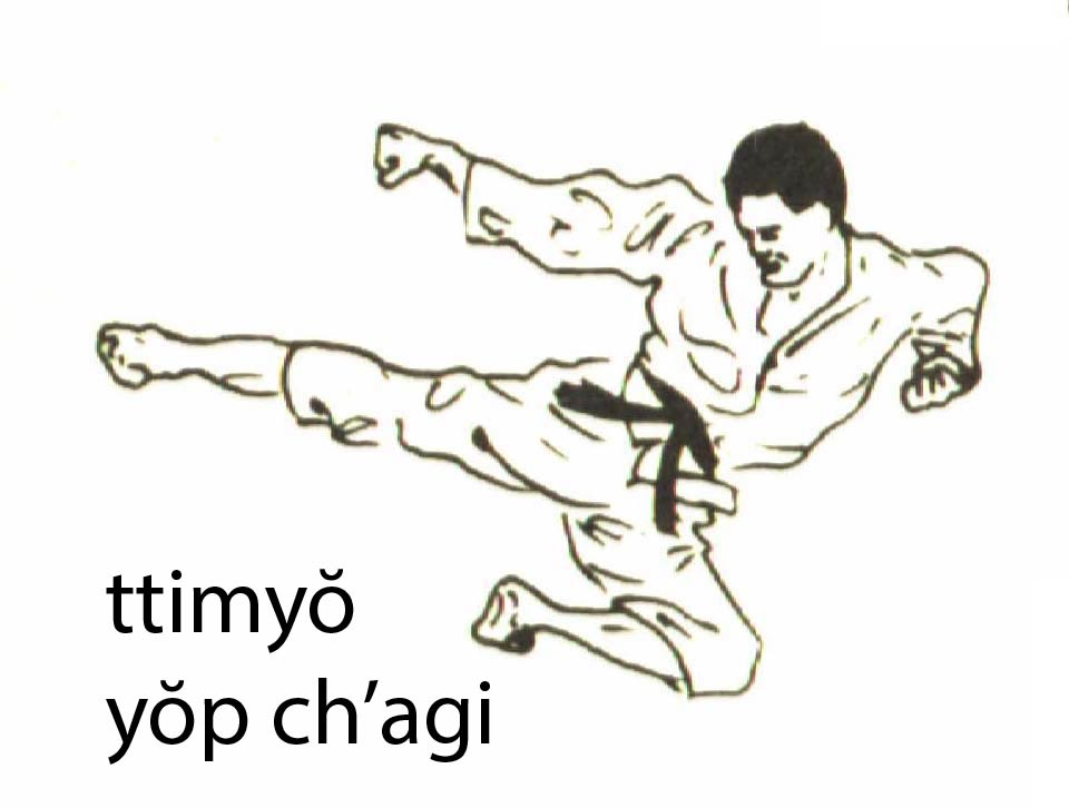 ttimyo_yop_chagi