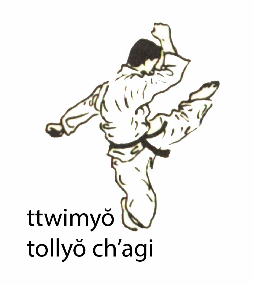 ttwimyo_bollyo_chagi