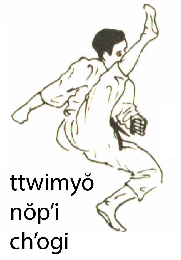 ttwimyo_nopi_chagi