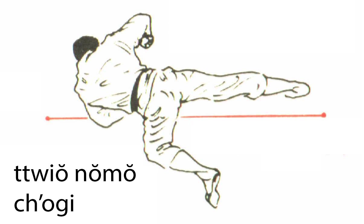 ttwio_nomo_chagi