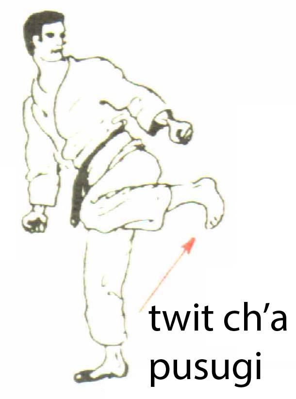 twit_cha_pusugi