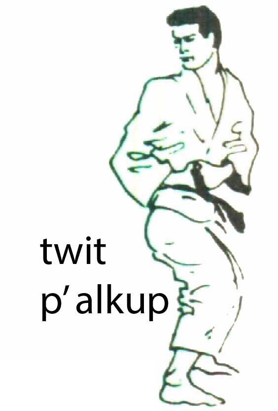 twit_palkup