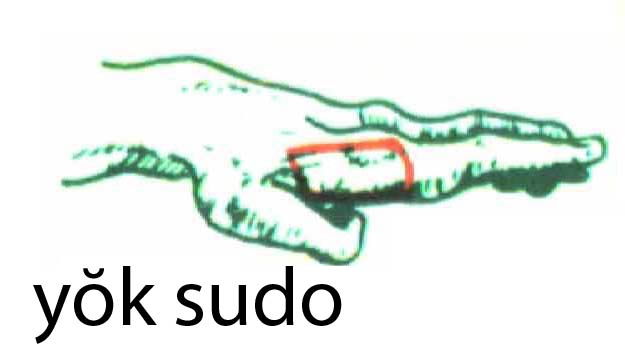 yok_sudo