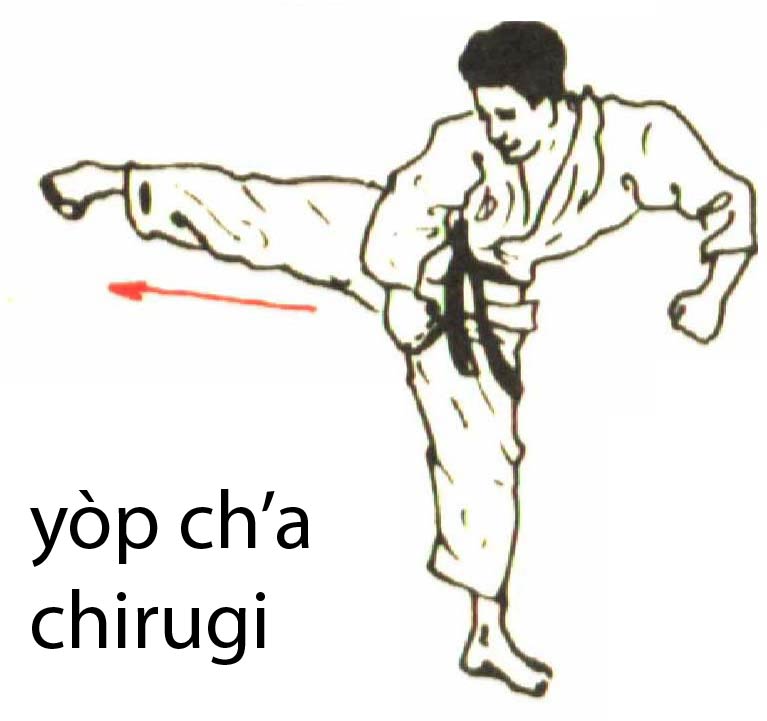yop_cha_chirugi