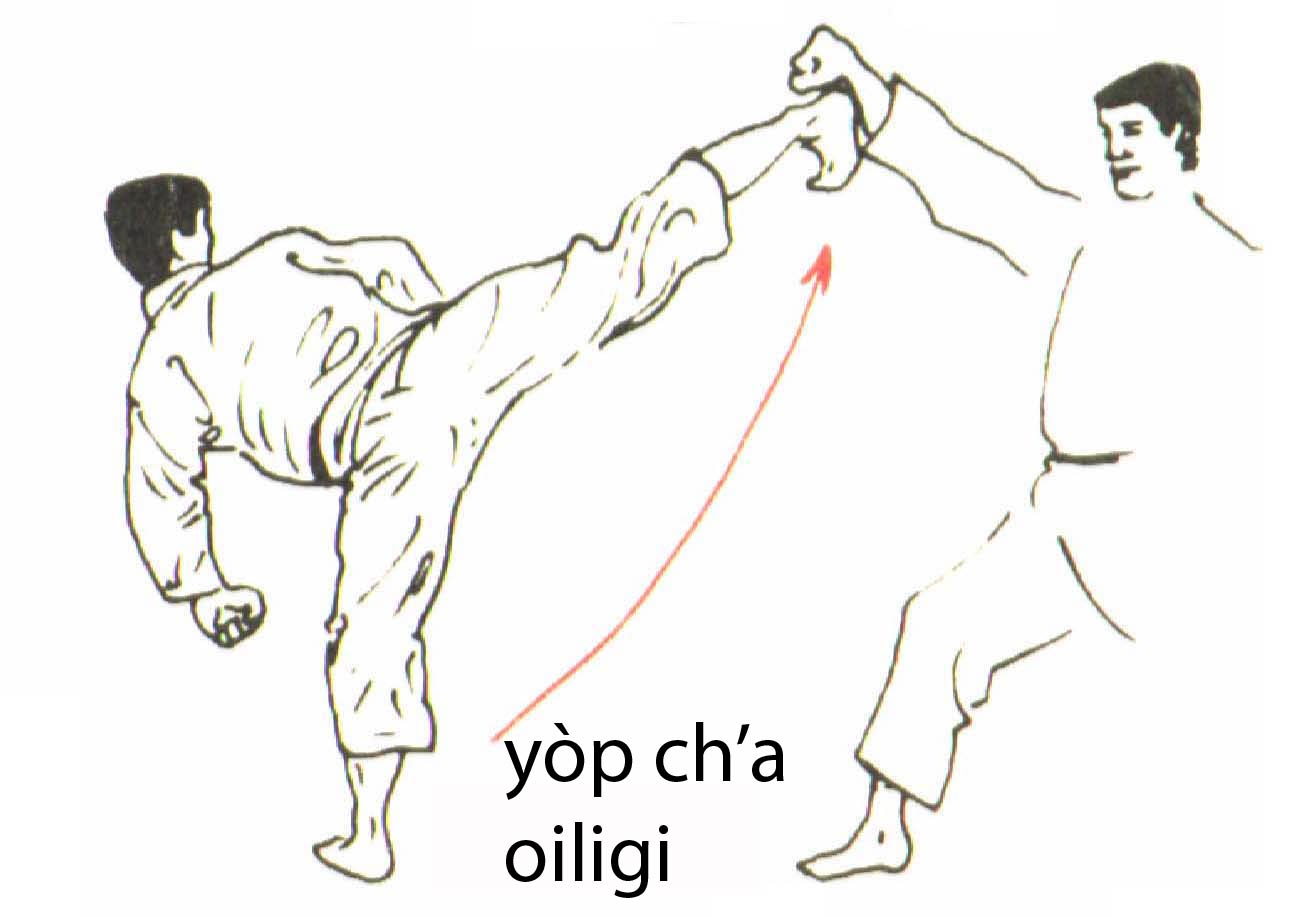 yop_cha_olligi