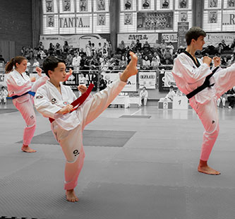 Le Poomsae..